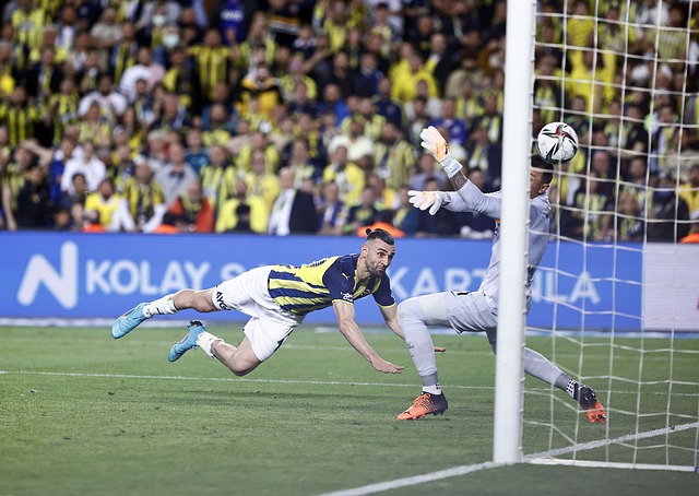 在更高层次 在更高层次