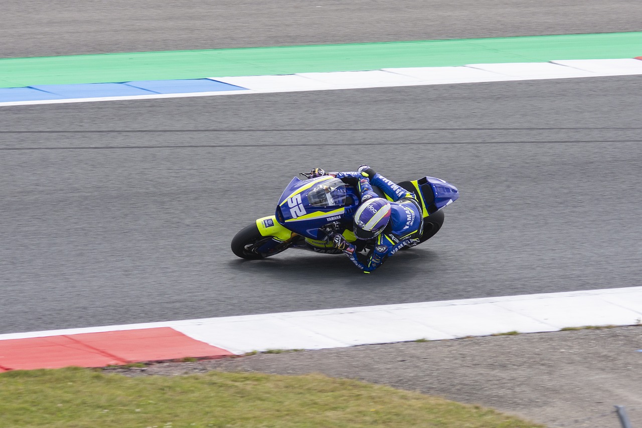 不仅增添了 不仅增添了