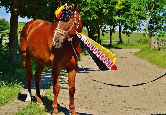 队的绝对核 队的绝对核