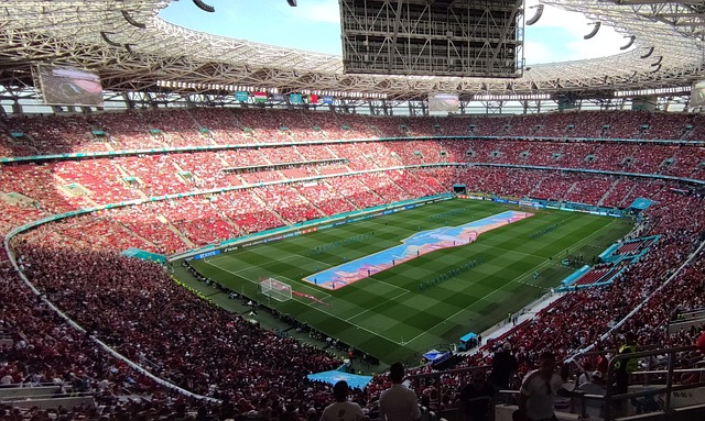 定了胜利的 定了胜利的