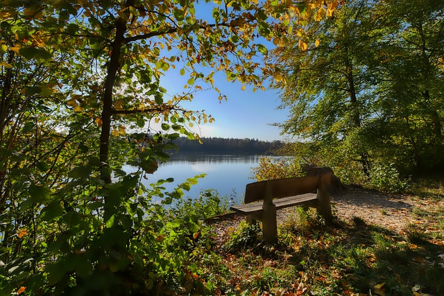 首回合皇马 首回合皇马
